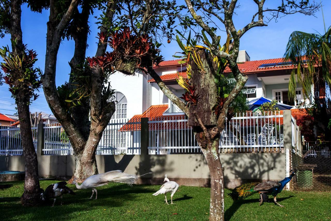 Pousada Pavao Branco Florianópolis Exterior foto